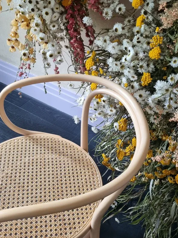 209 Armstol, bøg fra Thonet