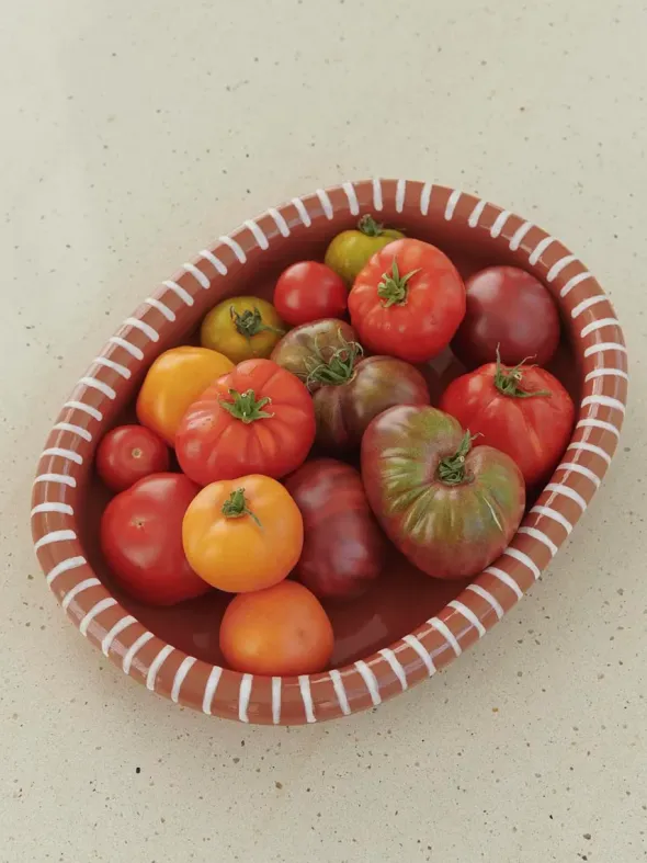 Barro Oval Dish, large fra Hay