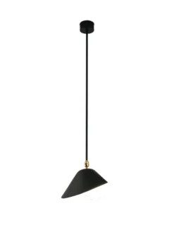 Ceiling Lamp Bookshelves af Serge Mouille