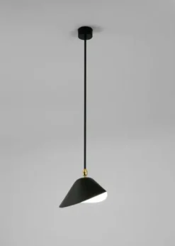 Ceiling Lamp Bookshelves af Serge Mouille