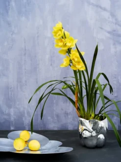 Cloud Vessel fra Tom Dixon