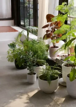 Collect Planter SC71 fra &Tradition