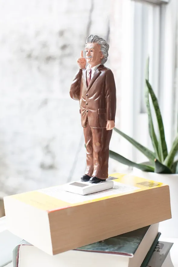Kikkerland Solar Einstein