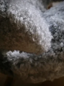 Pelikanstolen, gotlandsk fåreskind af Finn Juhl