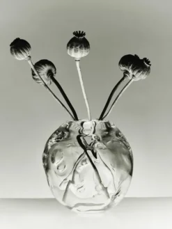 S.R. Vintage Vase Deco Clear fra Louise Roe