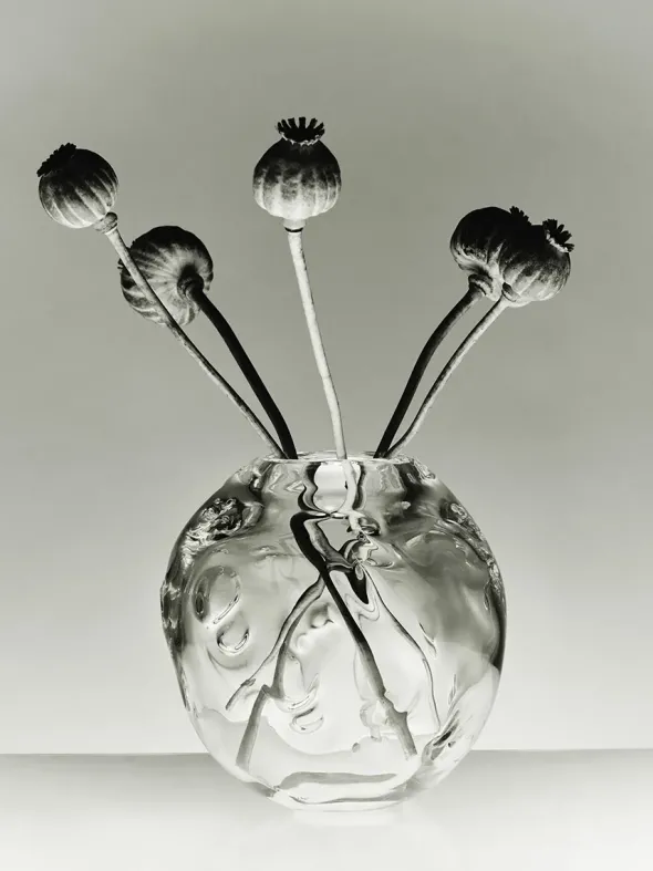 S.R. Vintage Vase Deco Clear fra Louise Roe