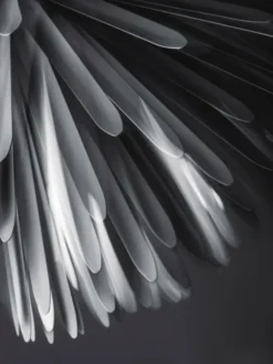 Sun - Light of Love Pendel fra Foscarini