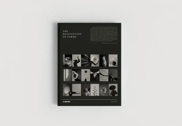 The Reinvention of Forms, Grey fra New Mags
