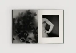 The Reinvention of Forms, Grey fra New Mags