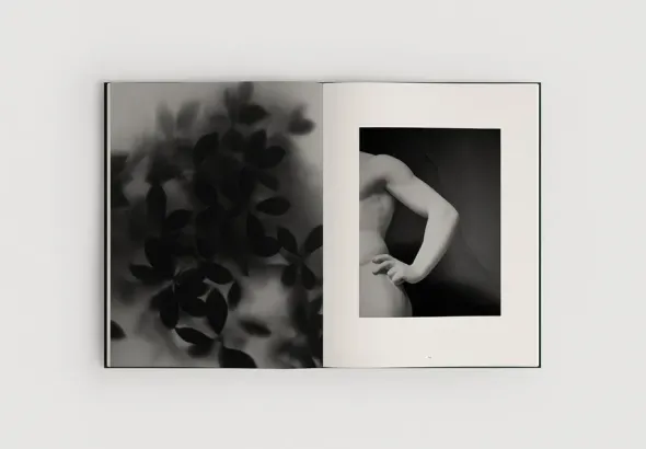 The Reinvention of Forms, Grey fra New Mags